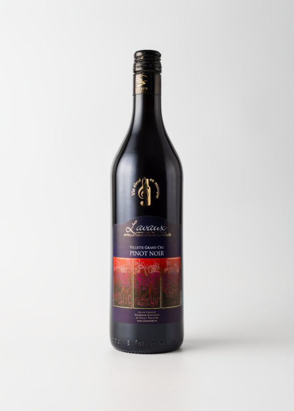 Pinot noir - Villette