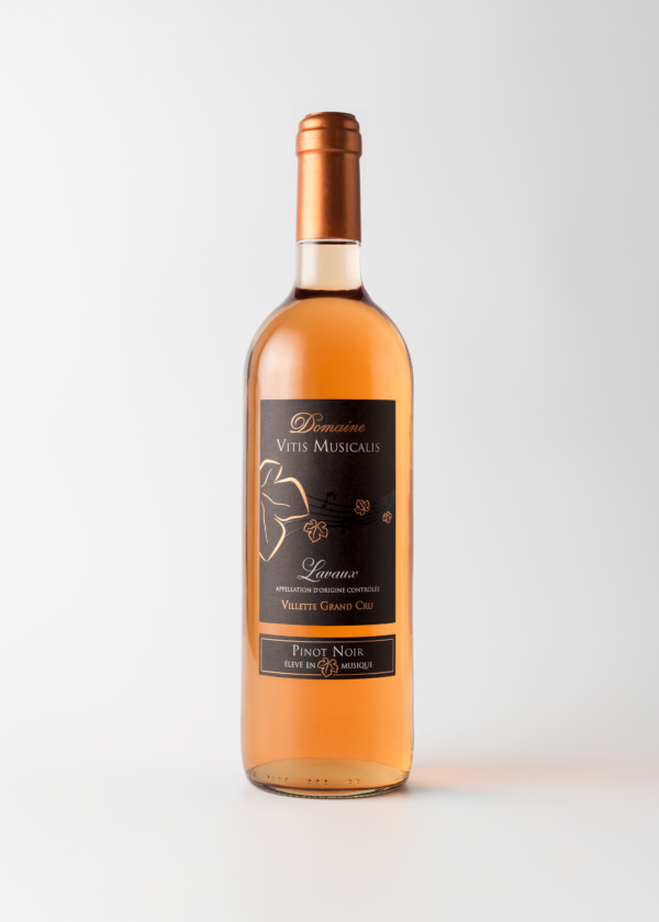 Rosé de Pinot Noir