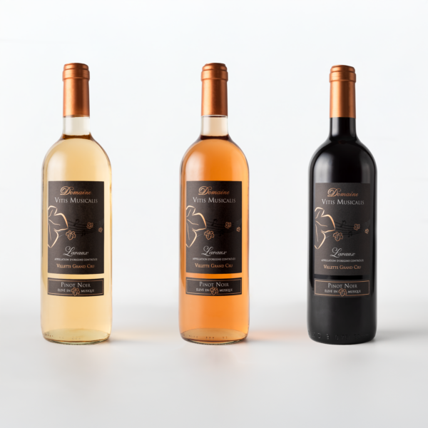 Trilogie du Pinot noir